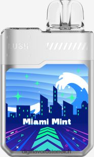 Digiflavor Geekbar LUSH Einwegartikel Miami-Minze R66BF11 Digiflavor Österreich