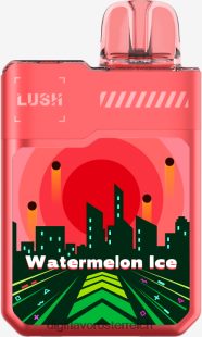 Wassermeloneneis
