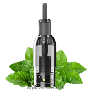 Digiflavor M1 Panzer Minze R66BF36 Digiflavor Flavors